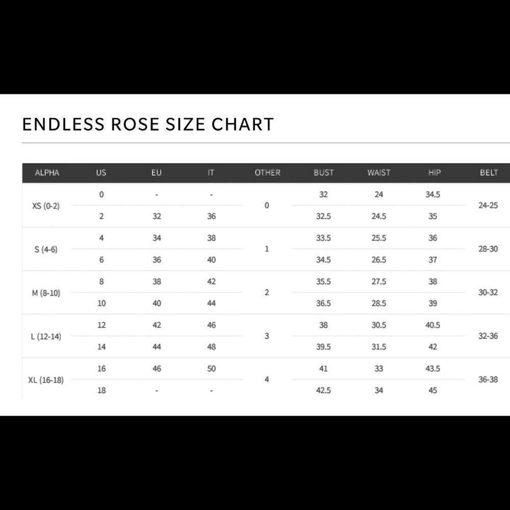 Endless Rose Dress NWT - Picture 15 of 15